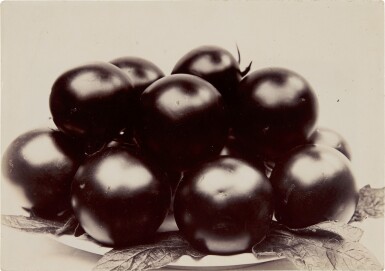 'Tomato Perfection', 1900