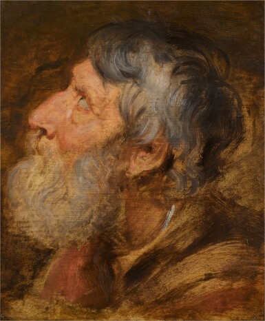 Sir Peter Paul Rubens, Head study of a bearded, elderly man in profile