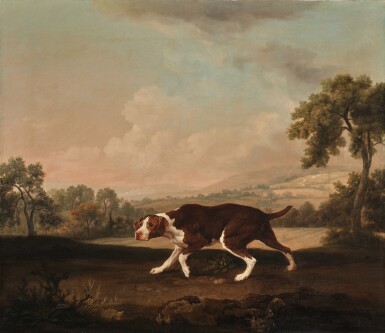 George Stubbs, The Spanish Pointer