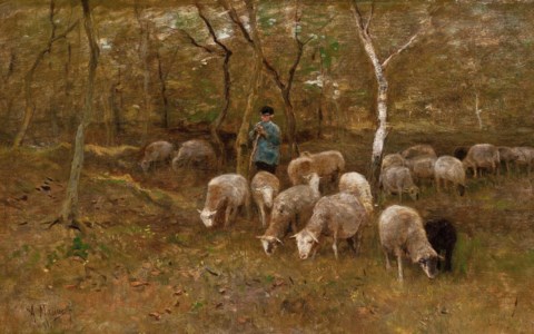A shepherd with his flock in the woods