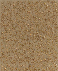Droplet CTM816