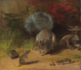 Squirrel and Mice