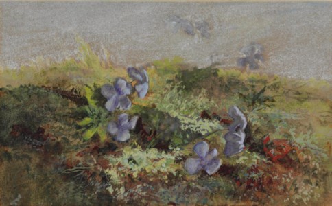 Violets in a Landscape