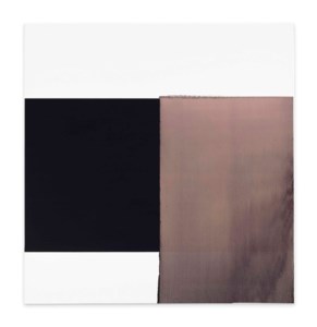 Exposed Painting, Paynes Grey/Yellow Oxide/Red Oxide on White