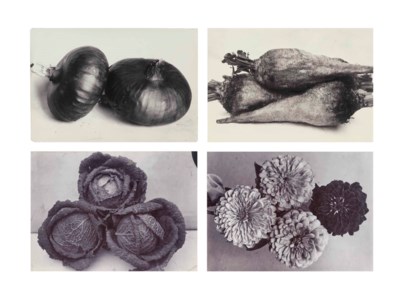 Various garden images, c. 1900