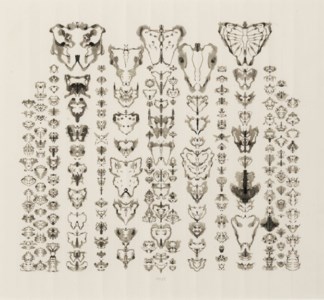 Inkblot drawing (11/21/93)