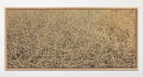 Untitled #724-96, 1996