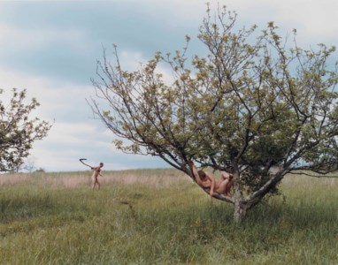 Peach Tree, 2002