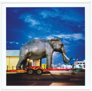 New Orleans Elephant, 2010