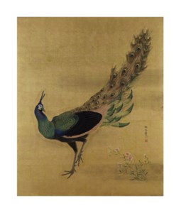 Peacock and pinks