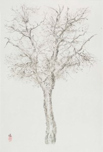 Zitan Tree