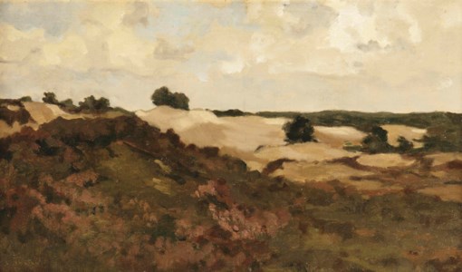 A dune landscape