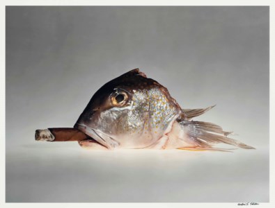 Cohiba Cigar with Smoking Fish
