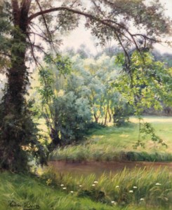 A woodland river