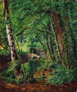 A woodland stream