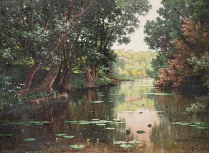 Water Lilies on the river