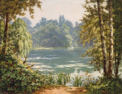 A woodland pond