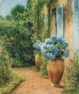 A sunlit garden