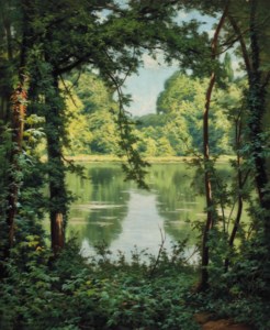 A woodland lake