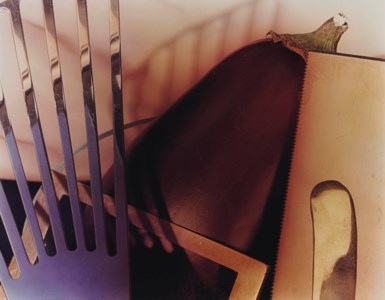 Untitled (Still Life with Eggplant and Spatula), 1978