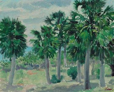 Cabbage Palms, Jamaica