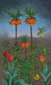 Fritillaria