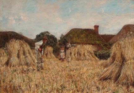 Amongst the corn