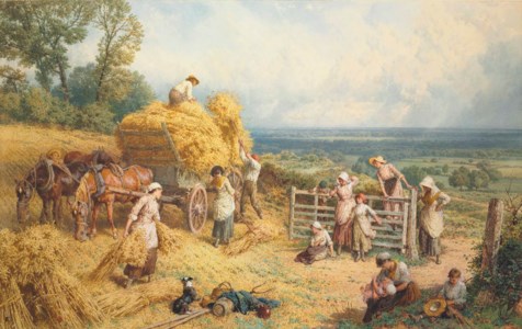 Harvest Time