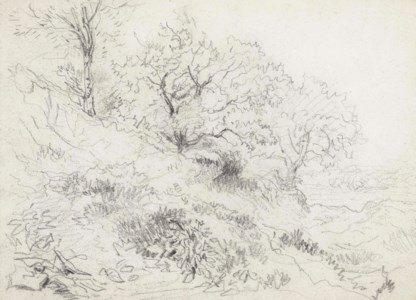 Welsh landscape