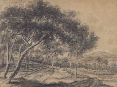 A track in a wooded hilly landscape