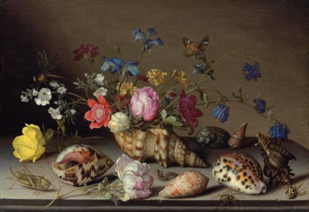 Flowers, shells and insects on a stone ledge
