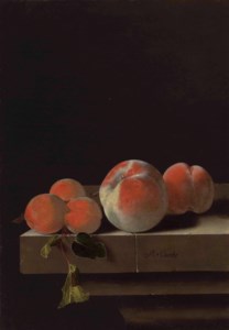 Peaches and apricots on a stone ledge