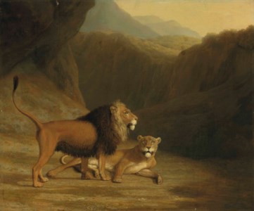 A lion and a lioness in a rocky valley