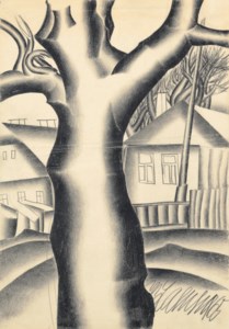 Trees and houses