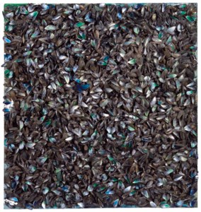 Surface de moules (avec sac) (Surface of mussels (with bag))