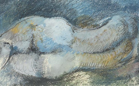 Reclining female nude