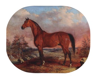 Horse in a landscape