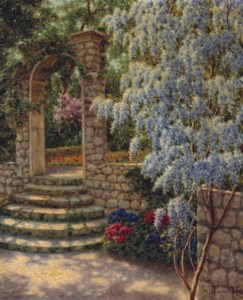 Wisteria in dappled sunlight
