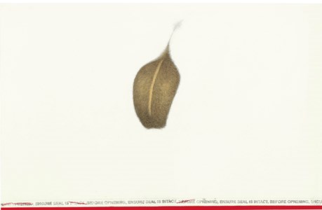 Untitled (Directions)
