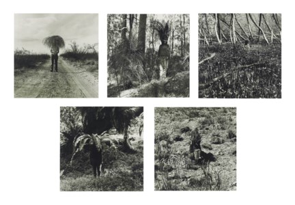 Vegetation