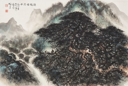 Monkeys in the Forest