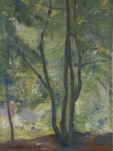 Light through trees