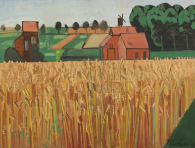 Korenveld; cornfield