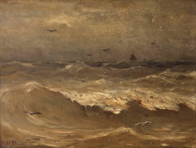 Hooge zee; waves