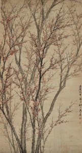 Plum Blossoms