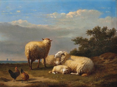 Sheep and poultry in pasture