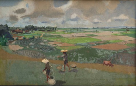 Rice Field