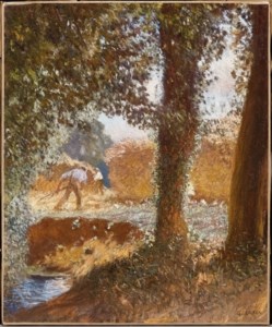 The Rickyard: a sunny day