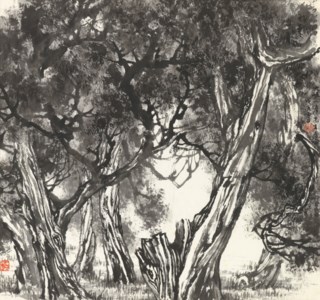 Aged Pine