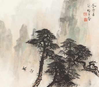 Pine Trees in the Mountains